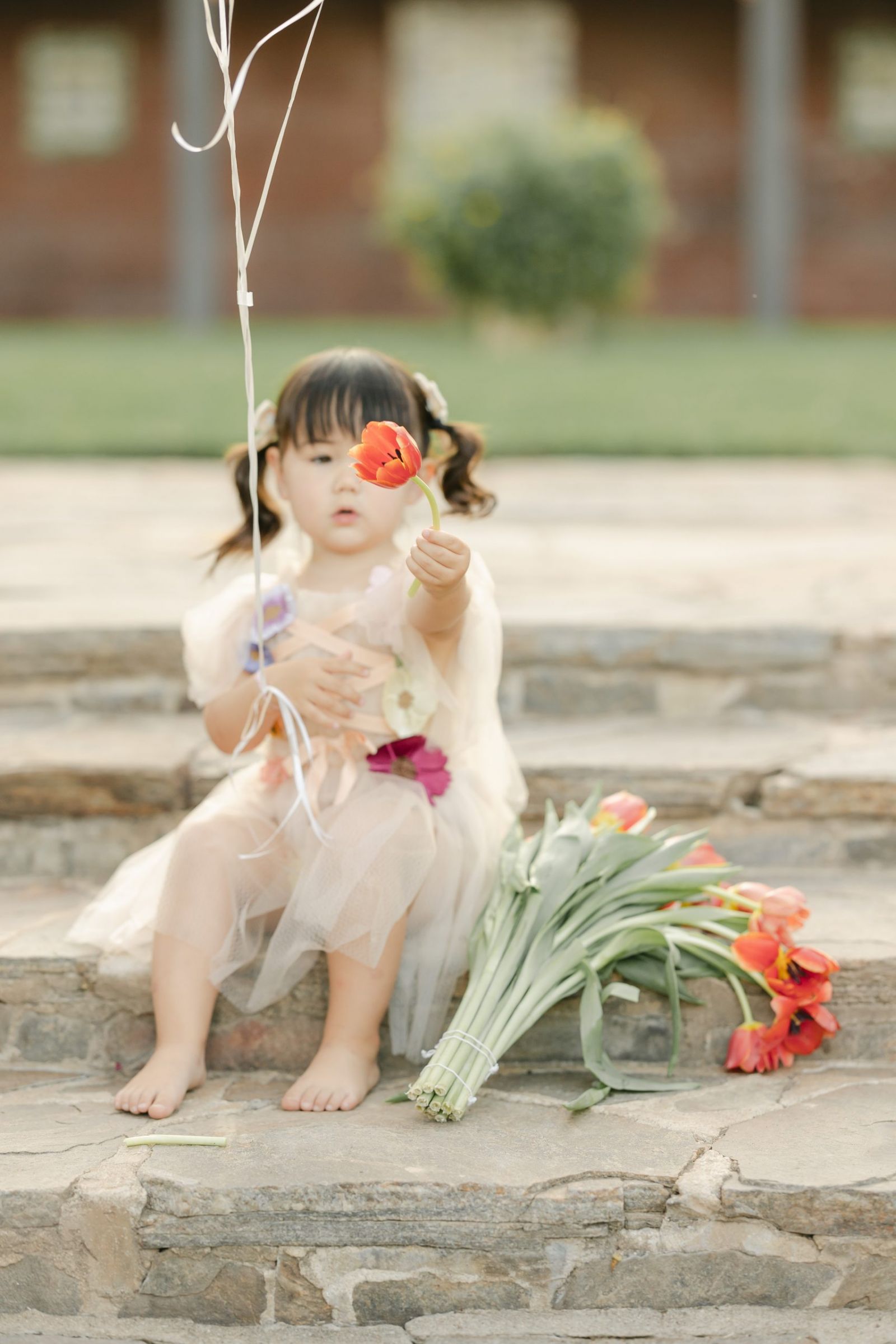 toddler girl with tulipps